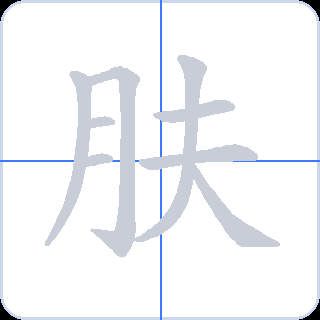 肤 획순