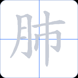 肺 획순