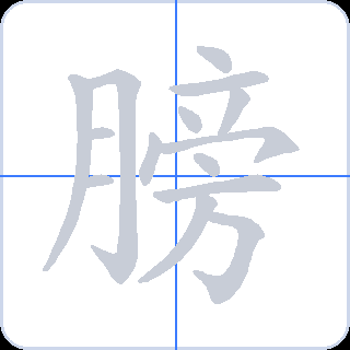 膀 획순