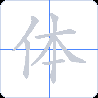 体 획순